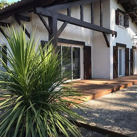 Villa Maison De Charme Avec Piscine Sur La Presqu'ile Lège-Cap-Ferret